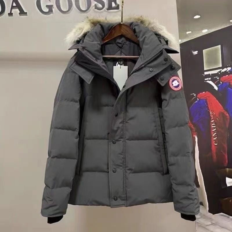 Canada Goose Gray