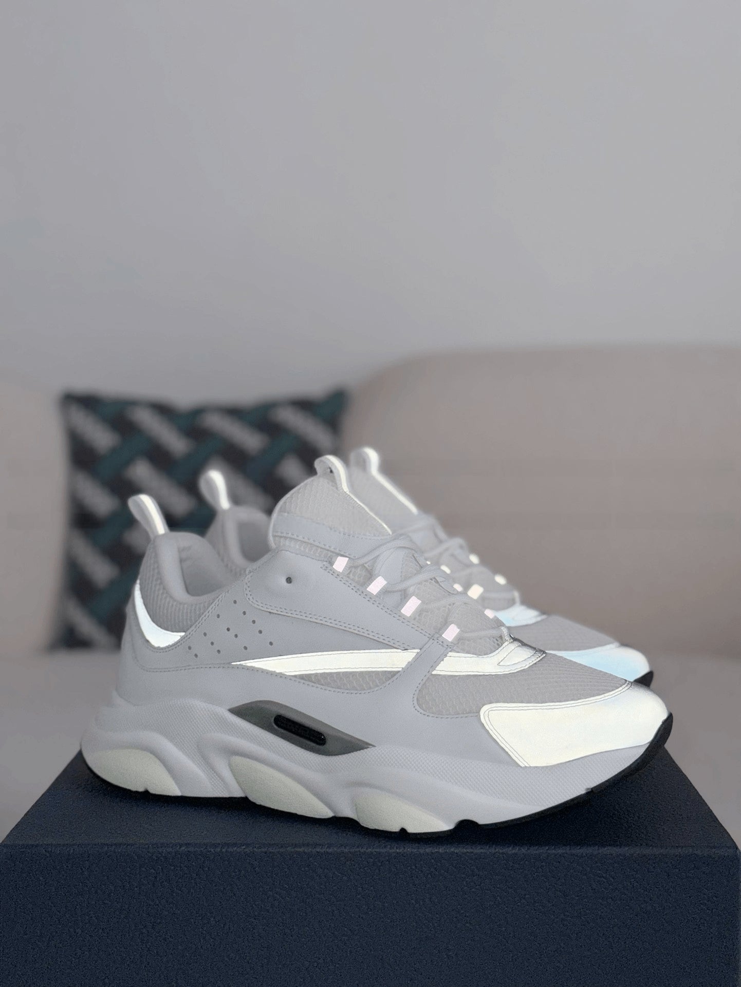 Dior B22 White Grey Reflective Sneaker