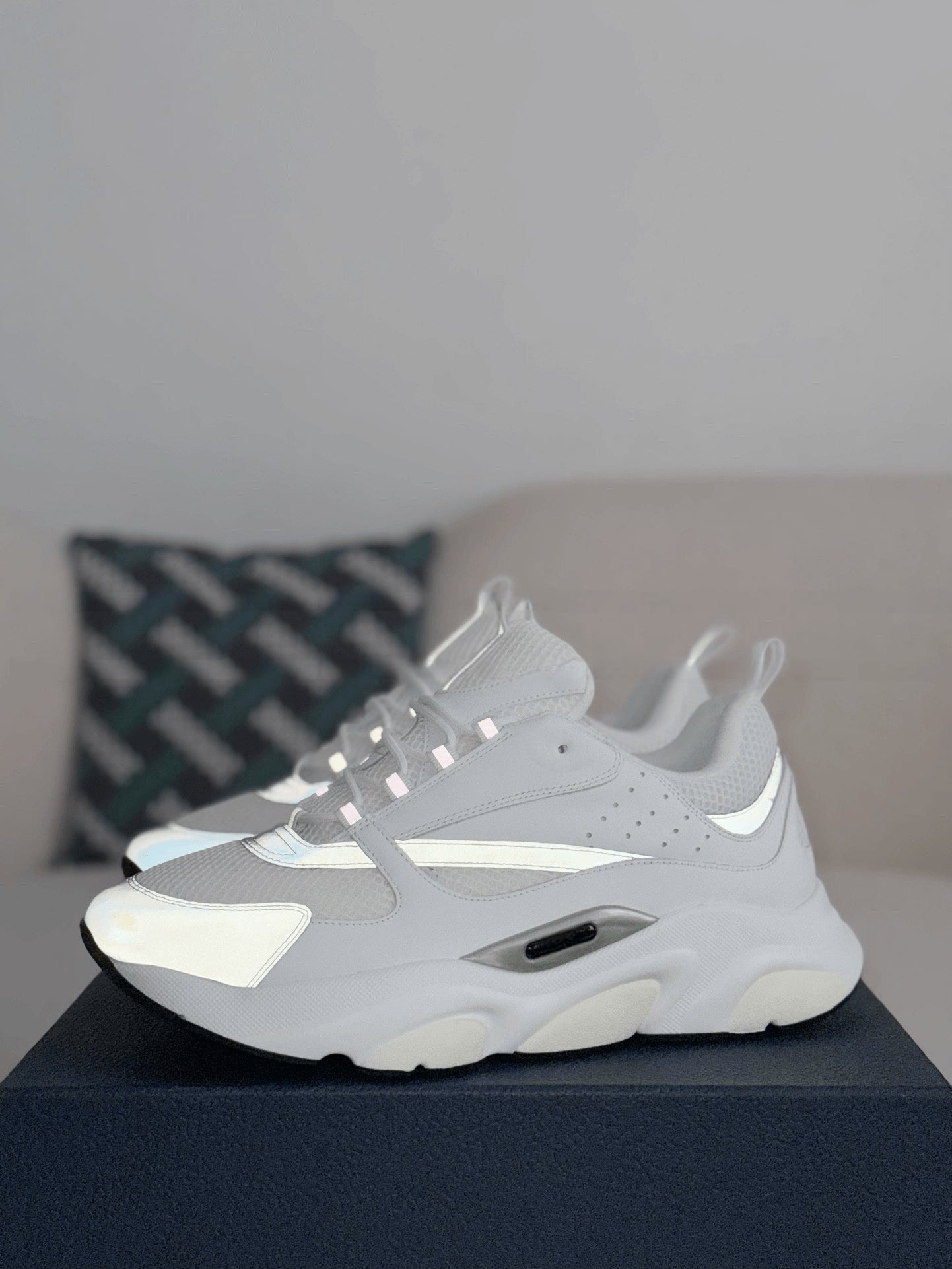 Dior B22 White Grey Reflective Sneaker